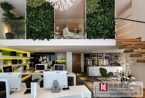 辦公室裝修中綠植是不可或缺的！為什么呢？